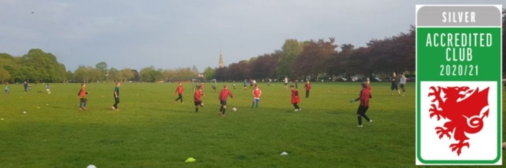 tycelynFC's profile banner image