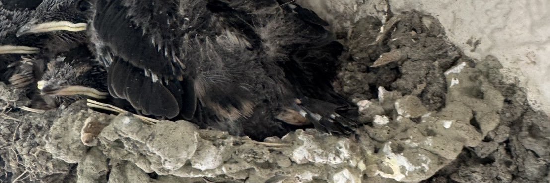 sk2456495's profile banner image