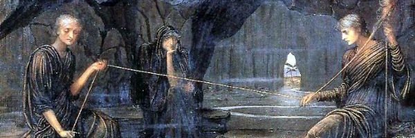 beachmarkRare's profile banner image