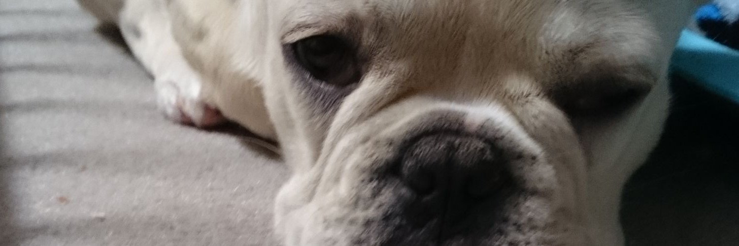 cest11's profile banner image