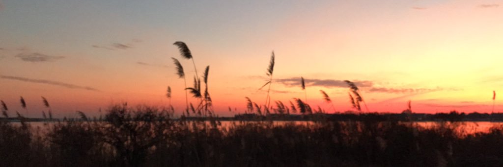 kysharris's profile banner image