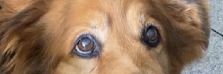 jtof99's profile banner image