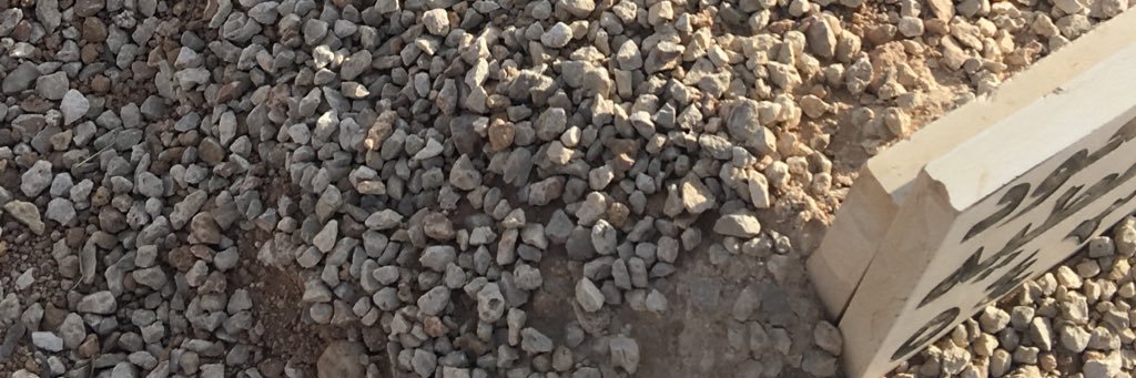 شارد الذهن banner