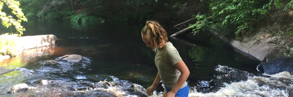 ryliewake's profile banner image