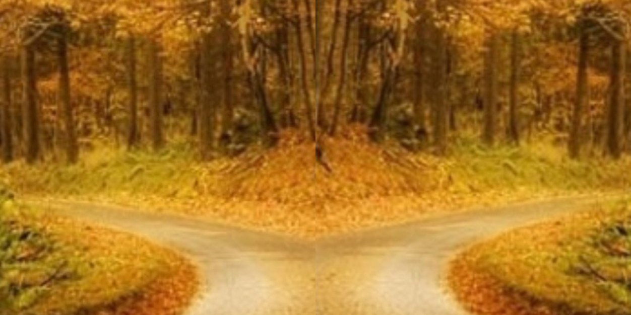 가지 않은 길 banner