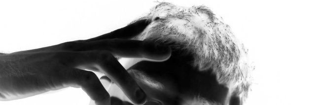 mmterdm's profile banner image