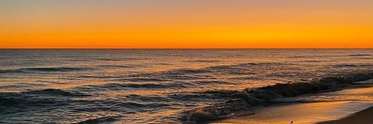 carofloress_'s profile banner image