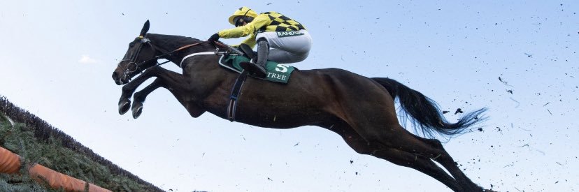 Dan Bromfield banner