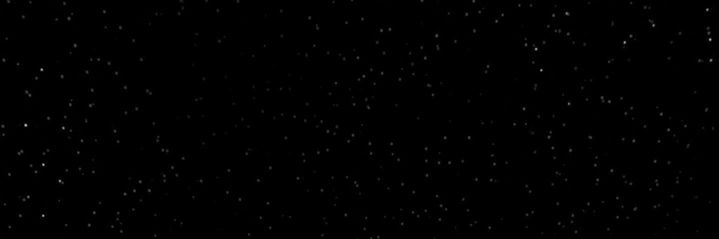 RaphaelZ_61's profile banner image