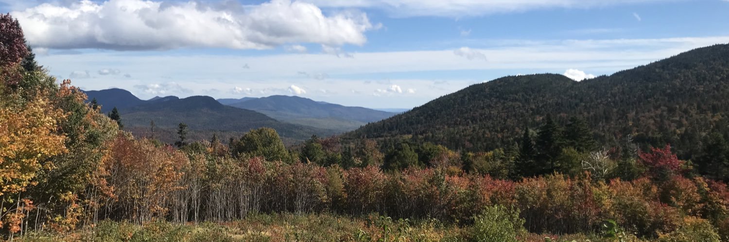 Ana Julia Aneise banner