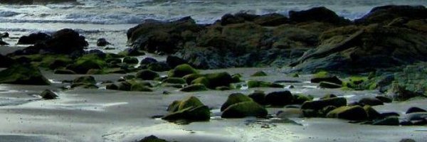 adrianquesadaa Profile Banner