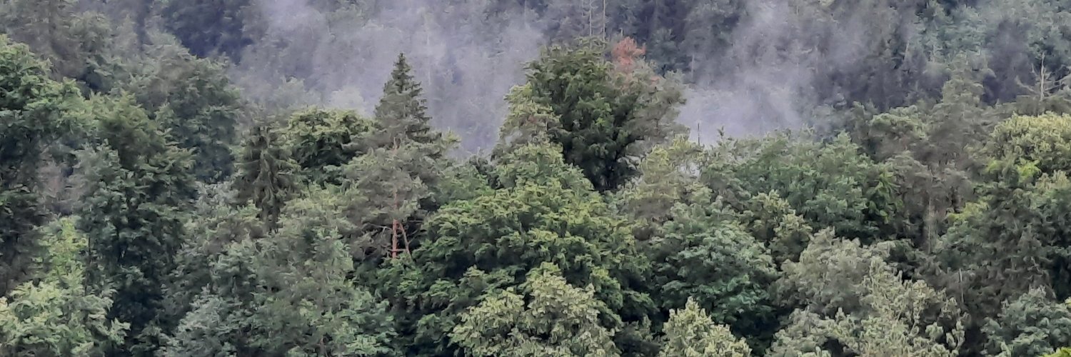 ThorstenSBeck's profile banner image