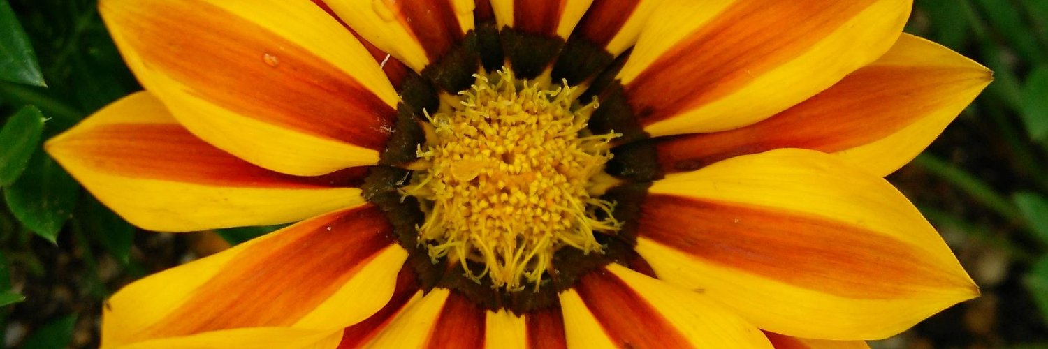 p44543's profile banner image