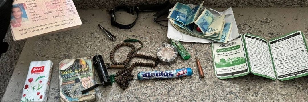 Informed Muslim 🇵🇸 banner