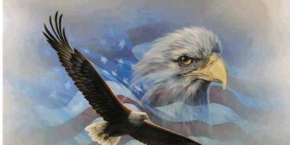 LibertyBelle68's profile banner image