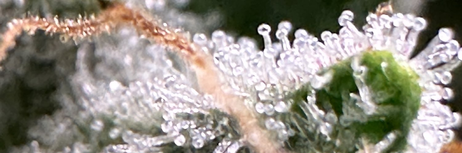 theSuper_Nice's profile banner image