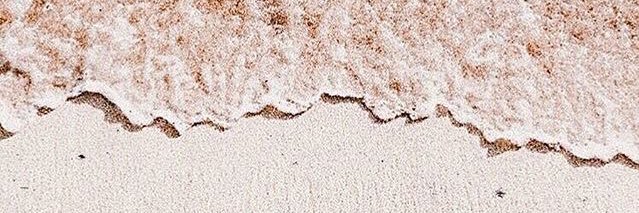 soulbreadroll's profile banner image