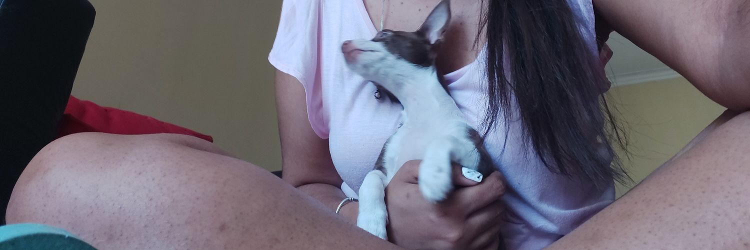 MabelJmnz's profile banner image