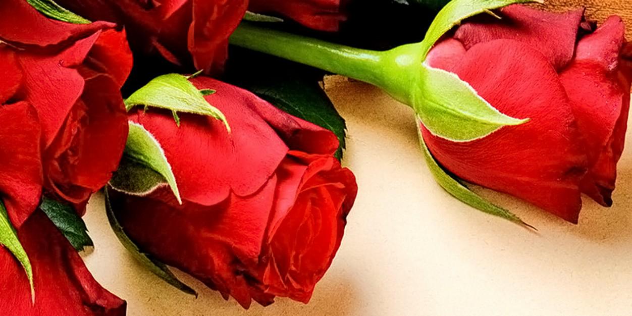 katelopez91's profile banner image