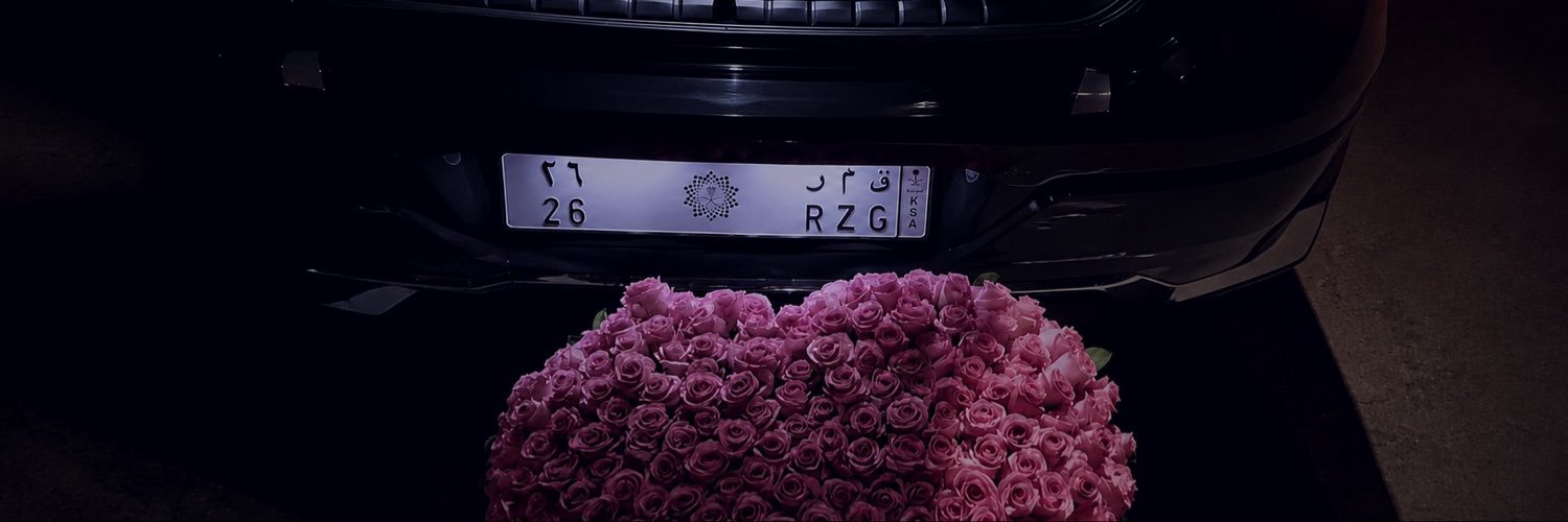_sallix's profile banner image