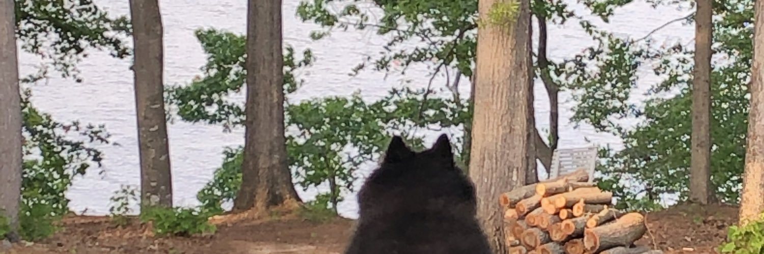 Diane Baughman banner