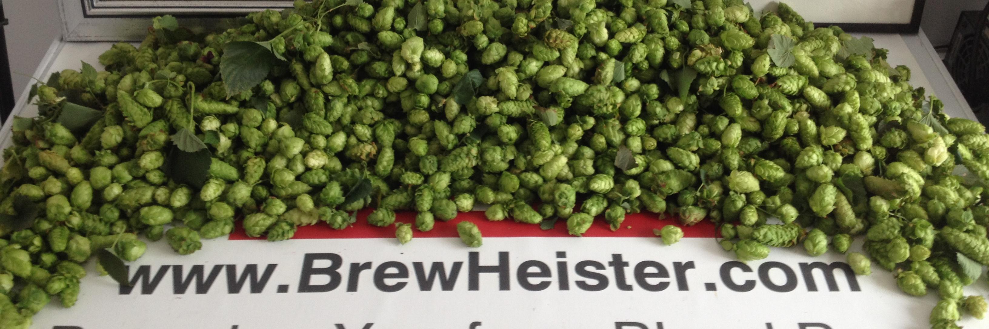 BrewHeister's profile banner image