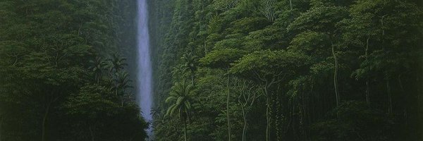 don_bodd Profile Banner