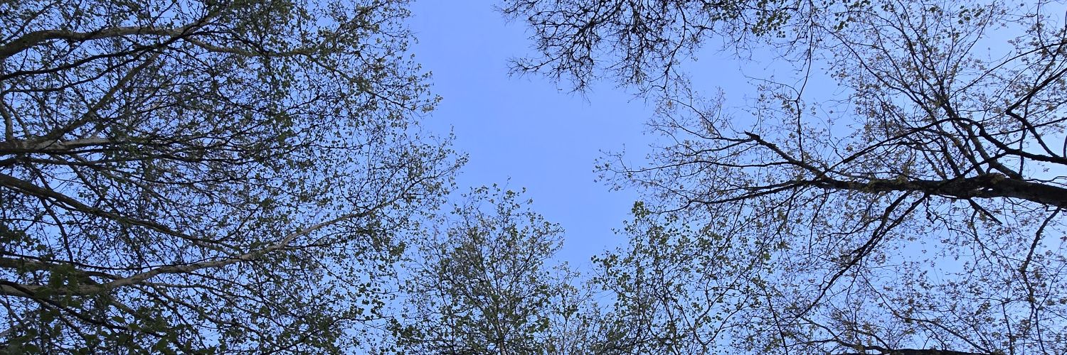 MissyJan28's profile banner image