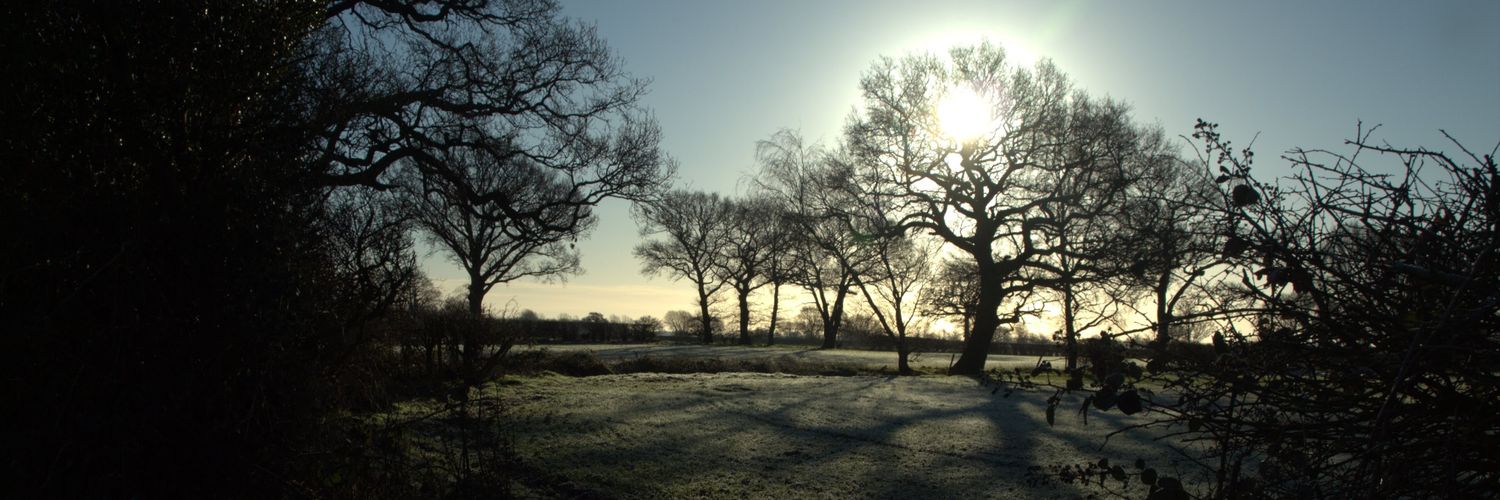 Adam Tunningley banner