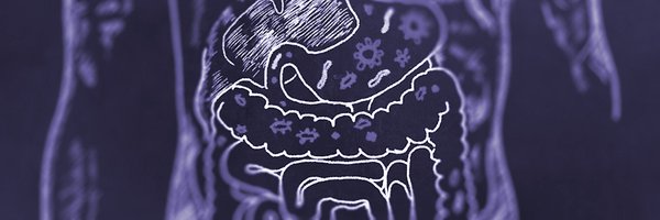 The_GEMProject Profile Banner