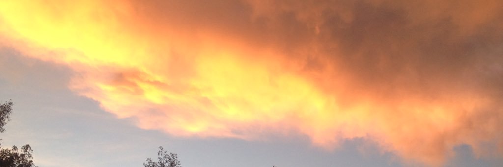 libbysophya's profile banner image