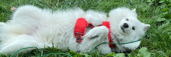 ParsaTajik Profile Banner