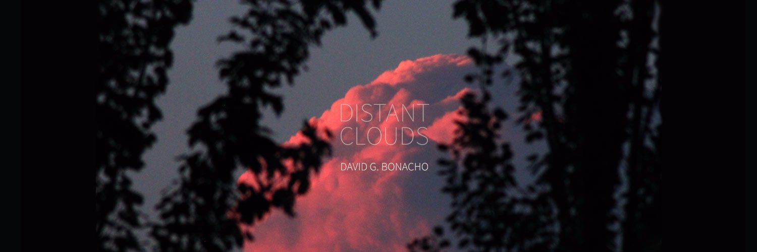 David G. Bonacho banner