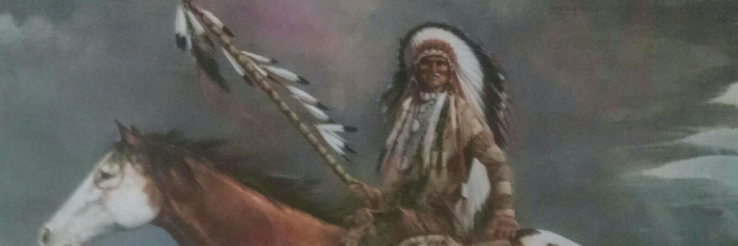 Tecumseh banner