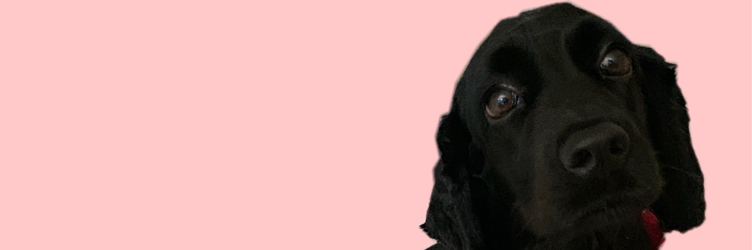 TiareYoselin's profile banner image