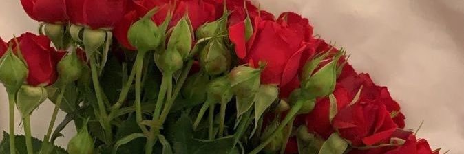 Crystaaal_M06's profile banner image