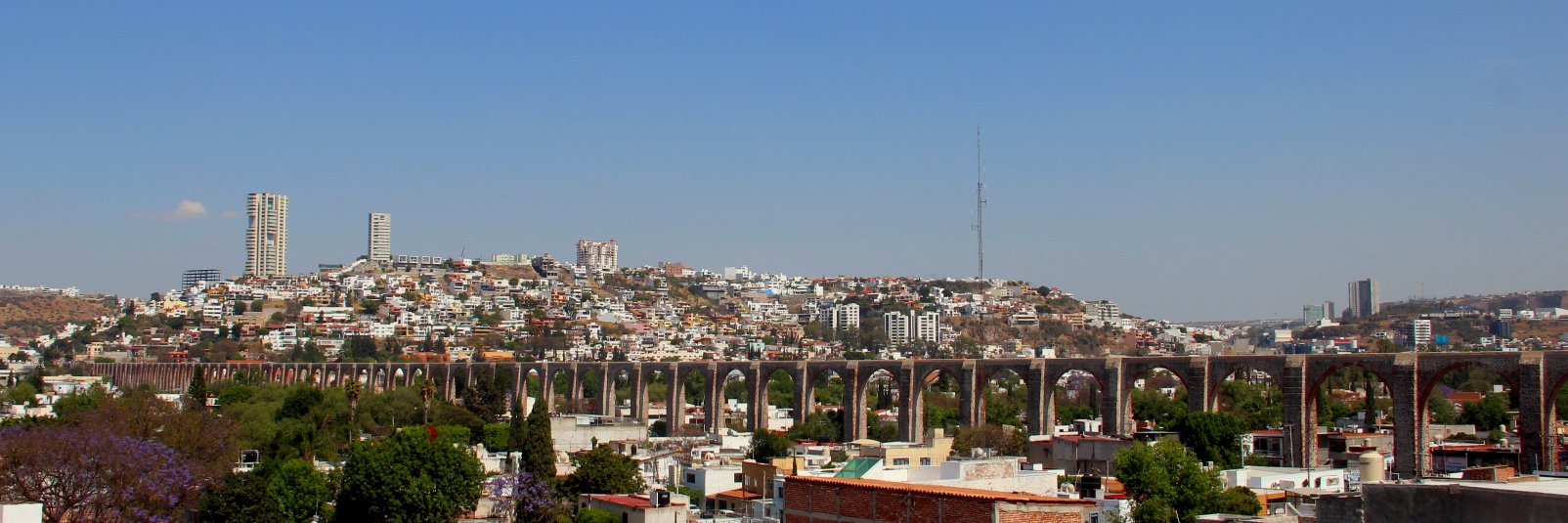 Don Diego banner
