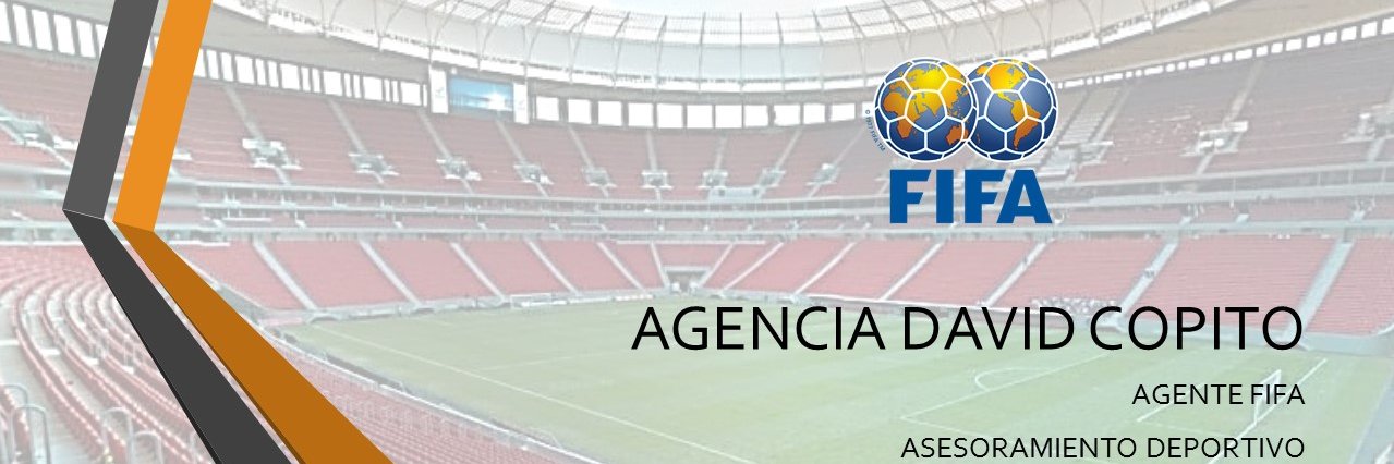 AGENCIA DAVID COPITO banner