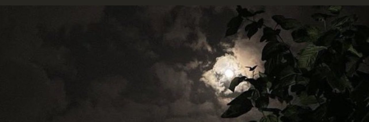 wa2o0's profile banner image