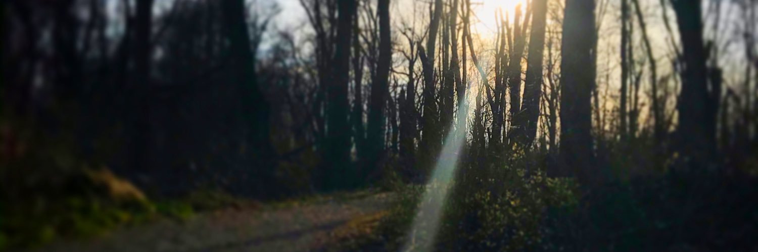 Simply__Em's profile banner image
