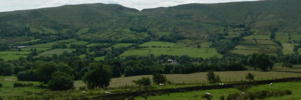 MeghanHWoolley Profile Banner