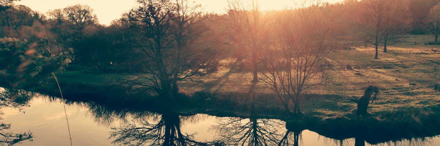 Lynne Joanne Barr banner