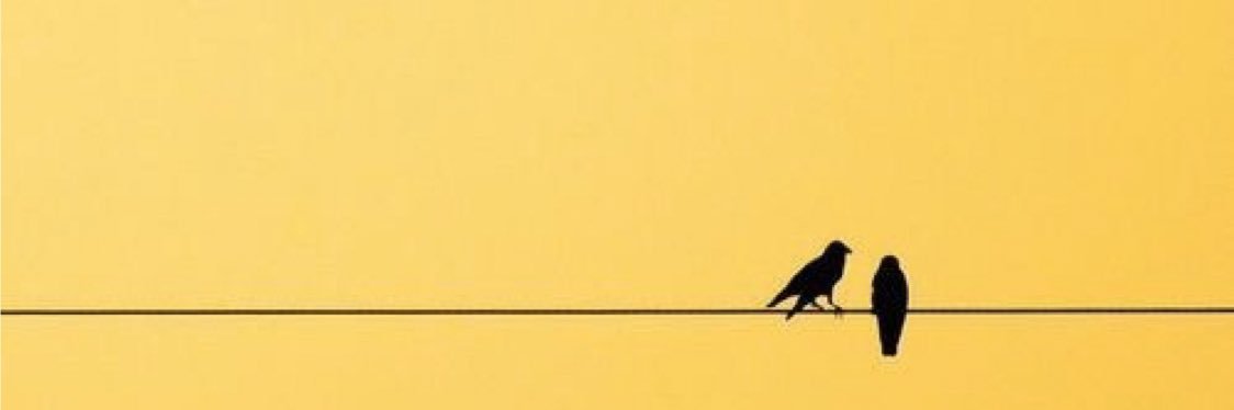 د. عبير المغذوي banner