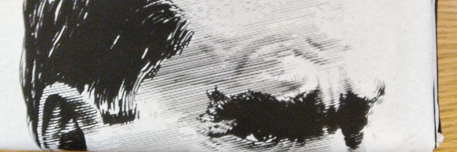 erentprkk's profile banner image