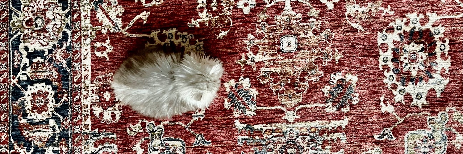 Amanda • آماندا banner