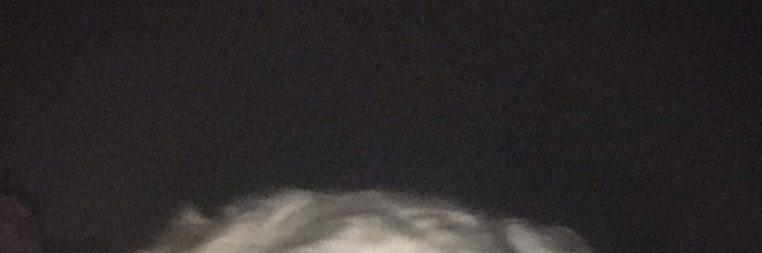 denthelegend's profile banner image