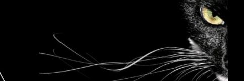 king_1solomon's profile banner image