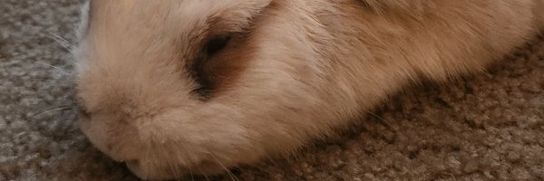 robdrawzz Profile Banner