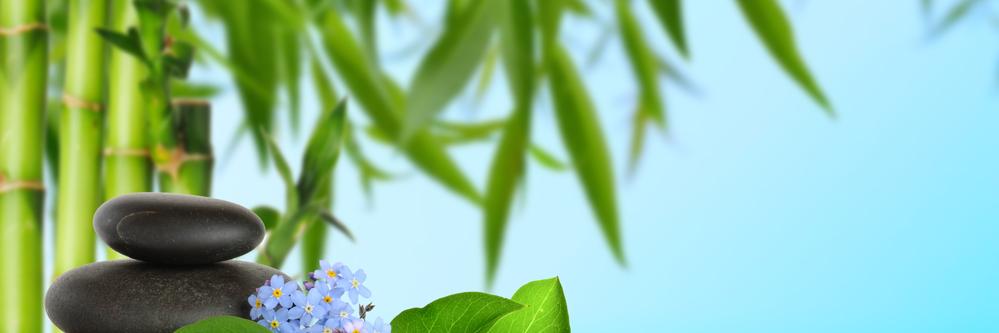 Bodhiloco's profile banner image
