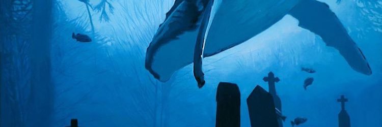 Quasibrodo's profile banner image